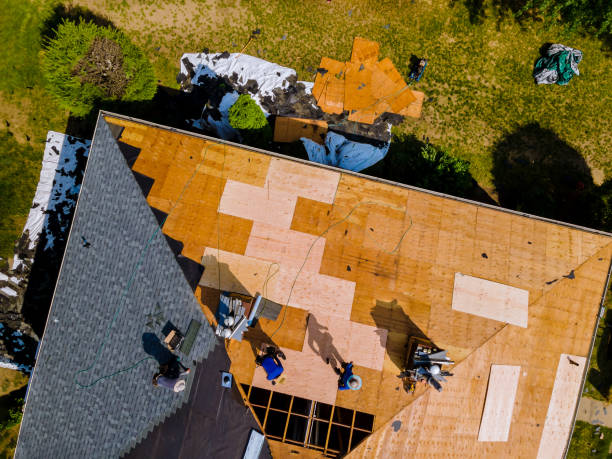 Quick and Trustworthy Emergency Roof Repair Services in Casselberry, FL